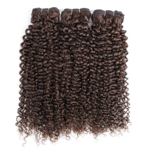 Kisshair #4 Jerry Curly Dark Brown Hair Bundles 1/3/4pcs/lot 10 to 24 Inches Pre-colored Brazilian Human Hair Extension