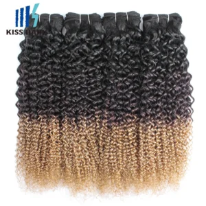 T1B4/27 Jerry Curly Ombre Color Human Hair Bundles Pre-colored Indian Hair Wefts 1/3/4pcs Curly Hair Extension KissHair