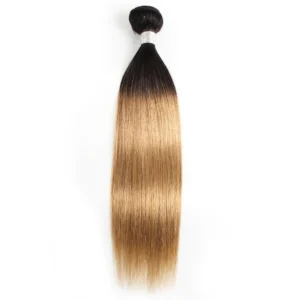 T1B27 T1B30 Ombre Color 1 Piece Human Hair Bundle Remy Brazilian Hair Pre-colored Honey Blonde 10-24 Inches Bundles Kisshair