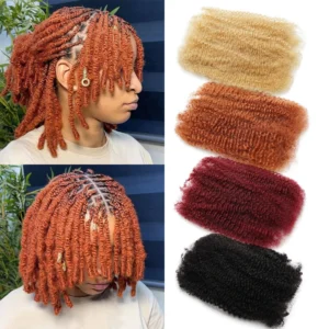 #350 Afro Kinky Bulk Human Hair #27 Blonde Bulk Hair For Braiding #99J Curly Hair Extensions for Mini Twists Braids Microlocs